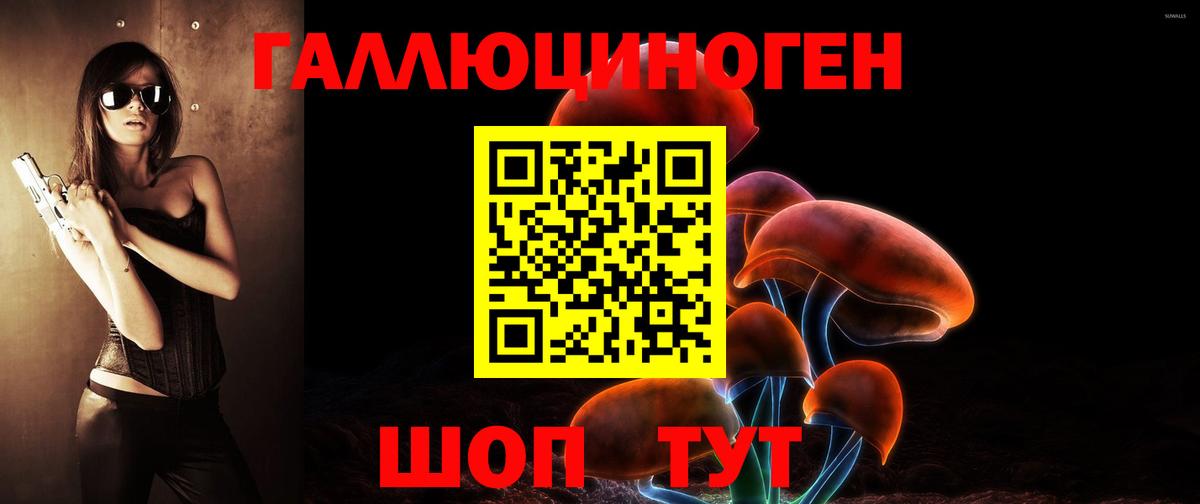 Псилоцибиновые грибы Psilocybe Калуга